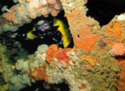 Diver looking through part of the bows of the Hathor - Is... by Malcolm Nimmo 